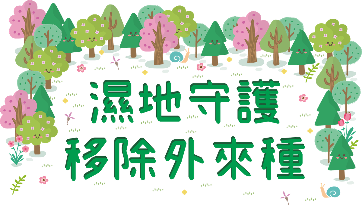 濕地守護 移除外來種