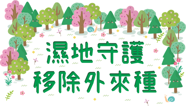 濕地守護 移除外來種