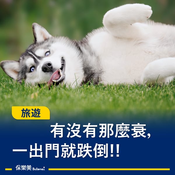 保險知識簡單講